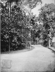 	Passeio Pblico	