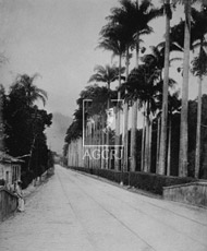 	Perspectiva da frente do Jardim Bot�nico	